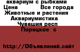 аквариум с рыбками › Цена ­ 1 000 - Все города Животные и растения » Аквариумистика   . Чувашия респ.,Порецкое. с.